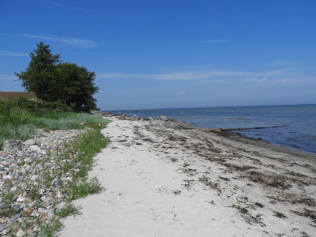 Stranden & Lillebælt